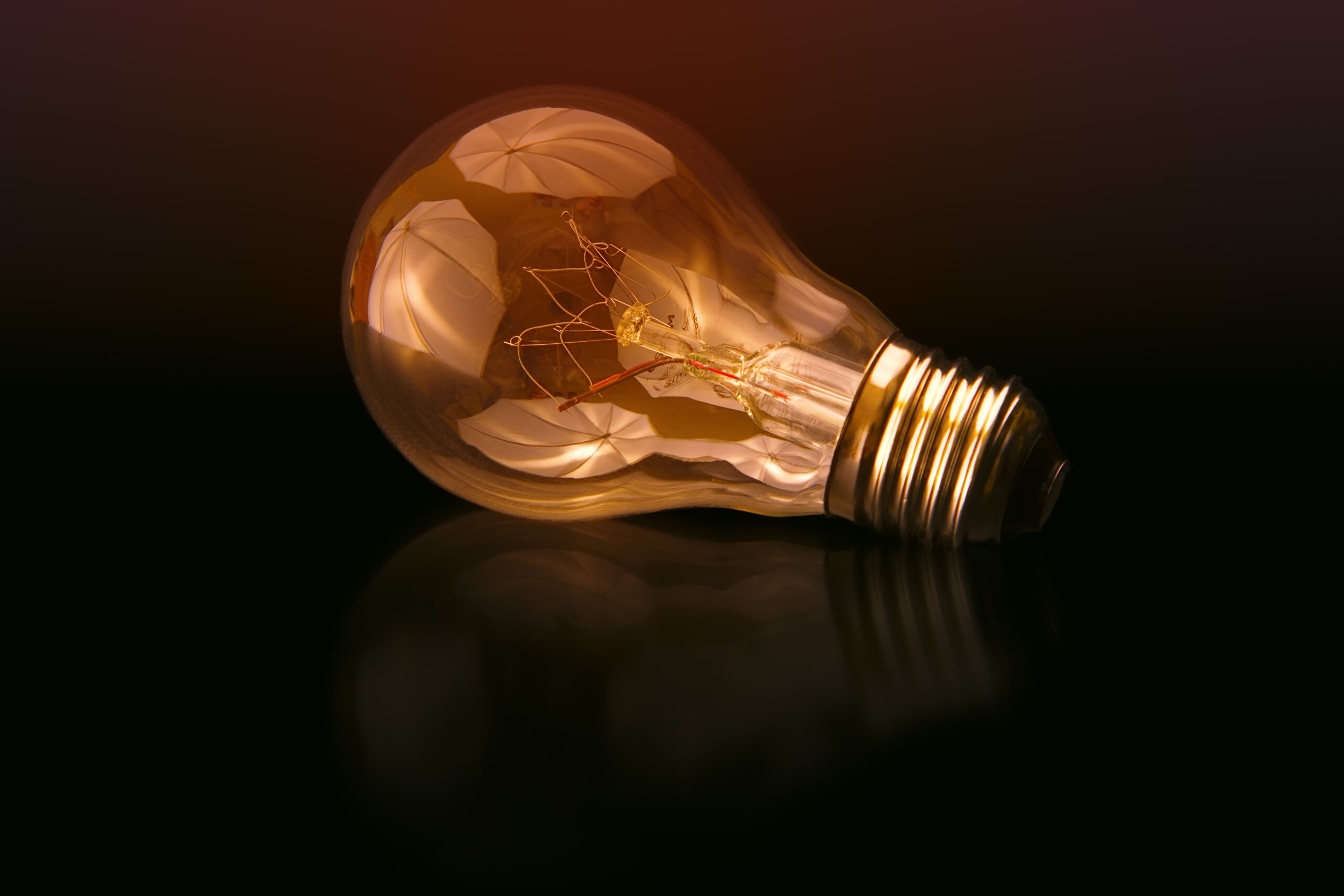 Canva - Selective Focus Photography Of Light Bulb